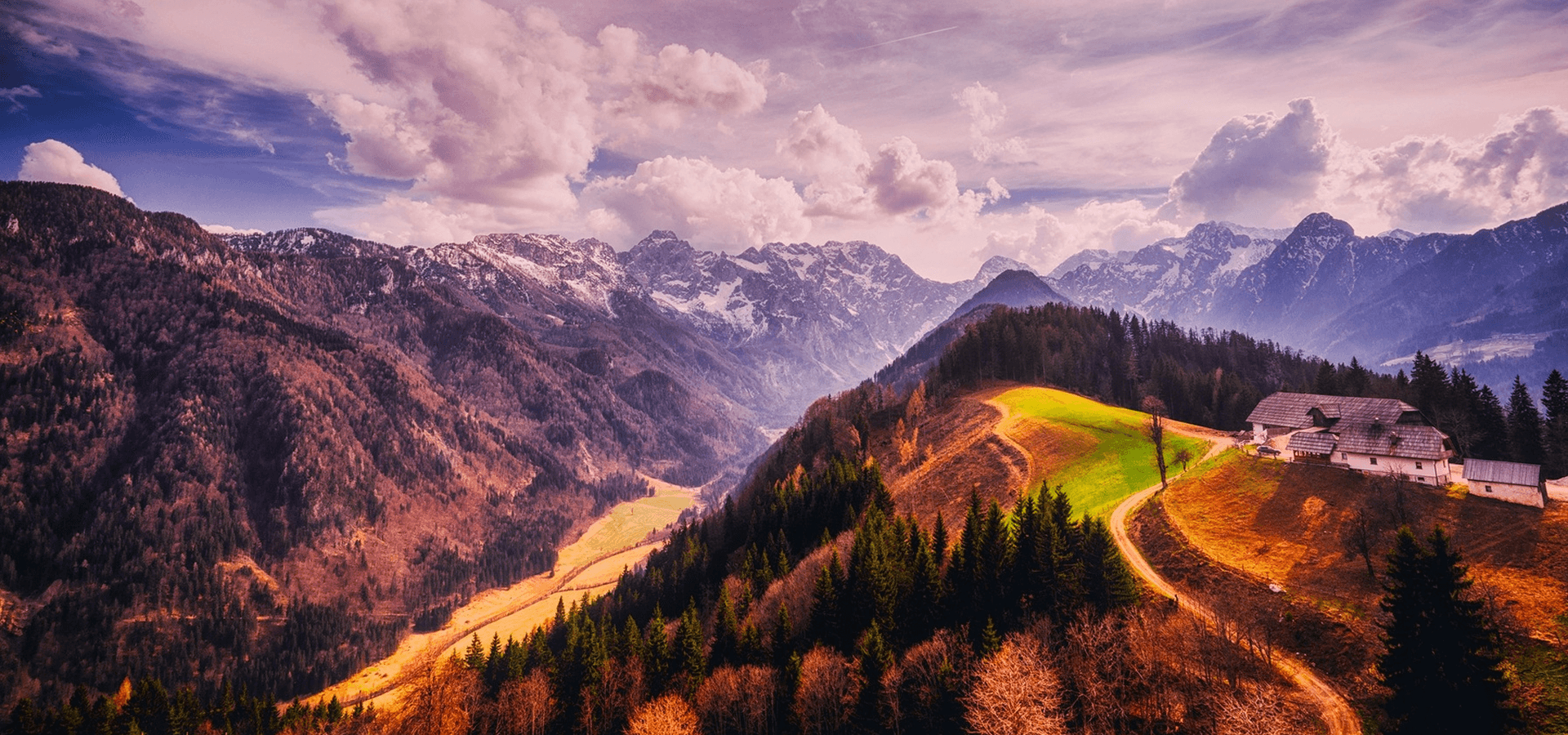 Quicksy! EASY STEP FOR BUSINESS